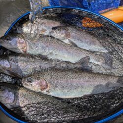 激濁りの中トラウト狙い